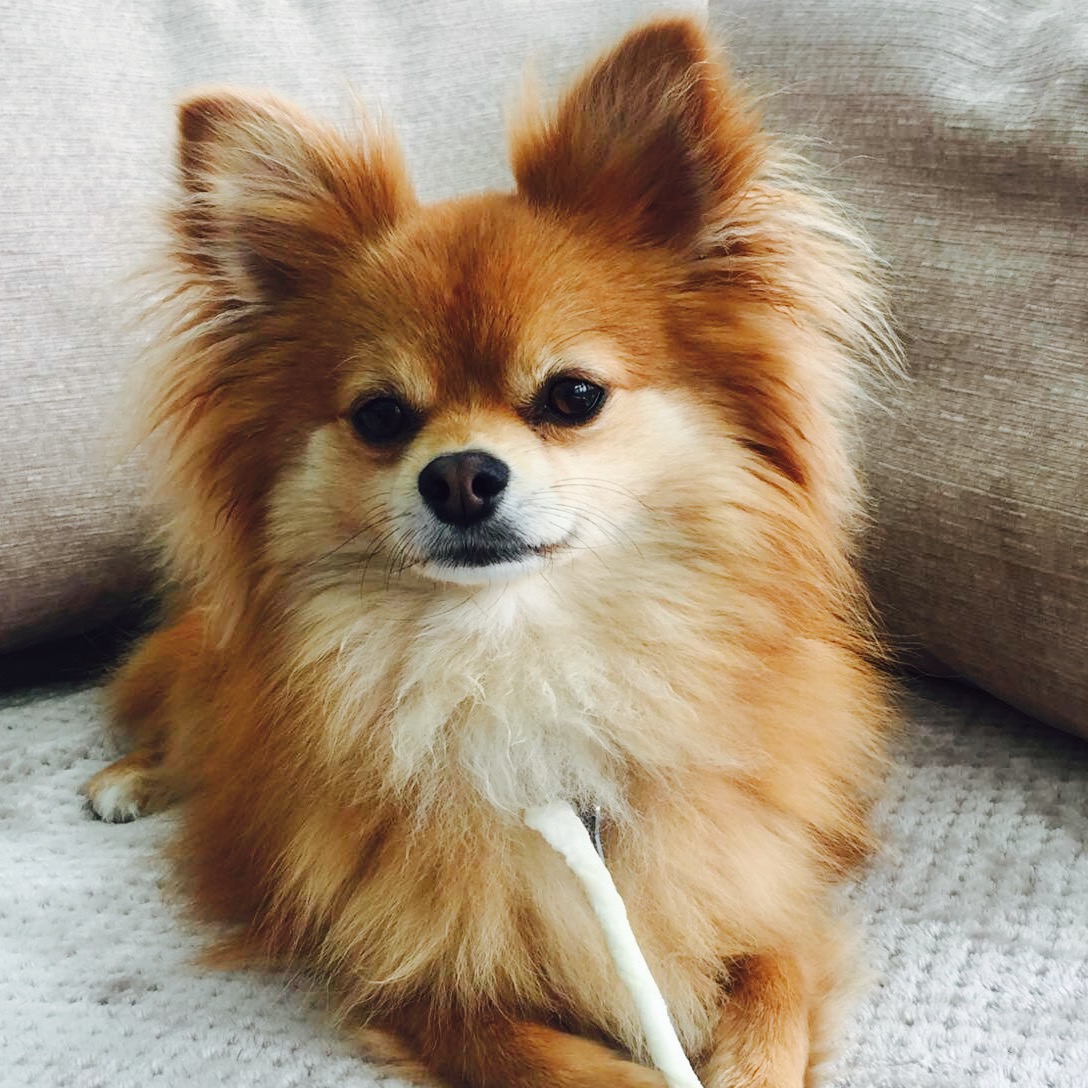 R59avxkzipnlt22sujbc