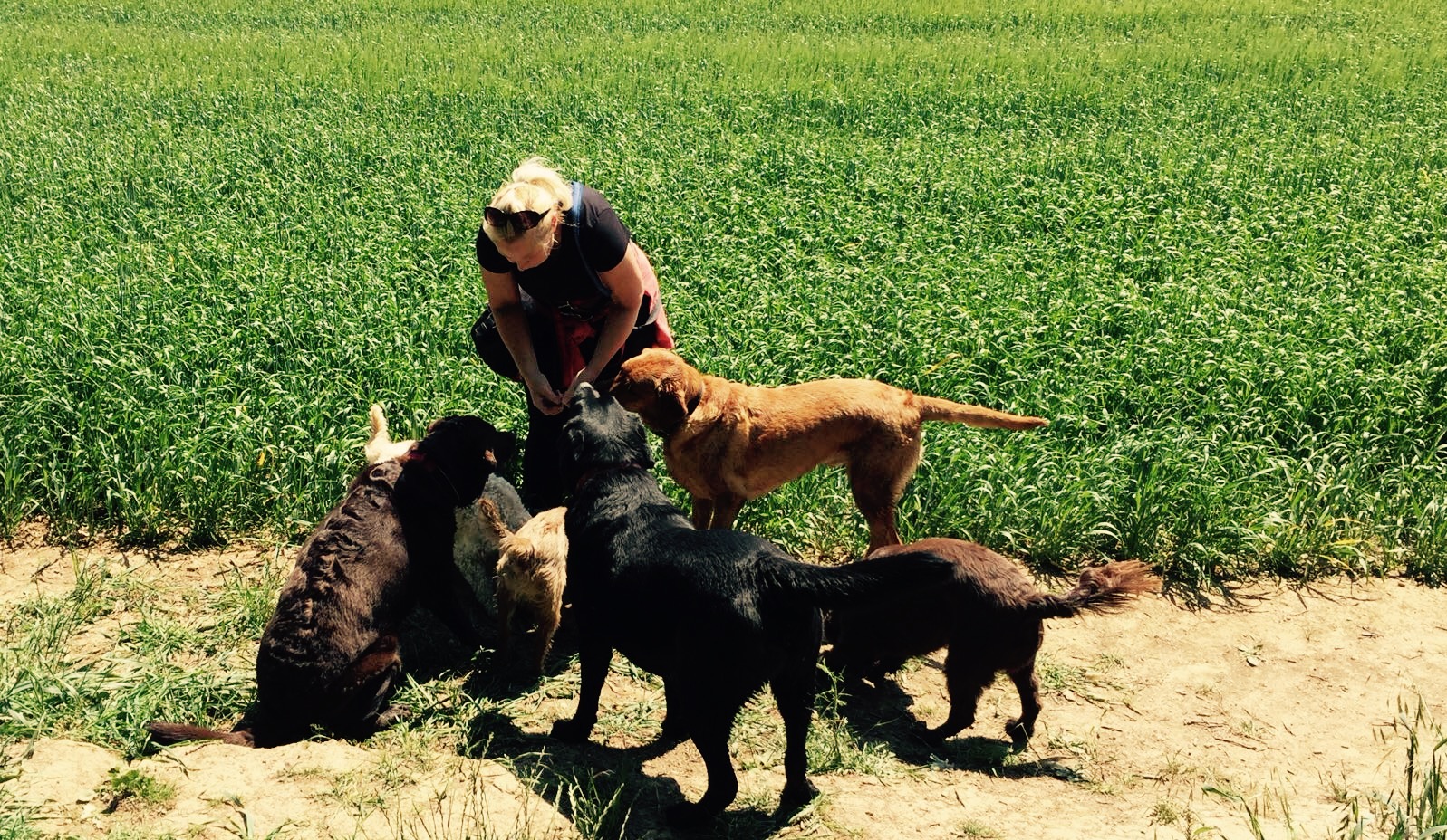 Rappx7freozfkbztqzfc