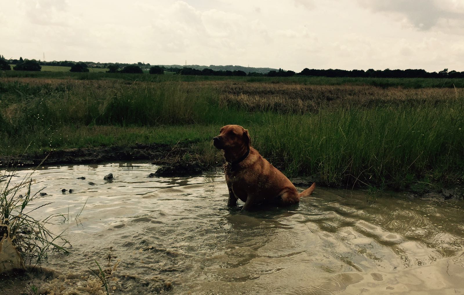 Sdv9tzra8ophijo7wfnl