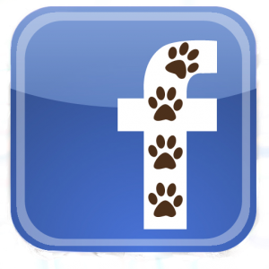 Tjrvvgglwjbegpbfw0uh