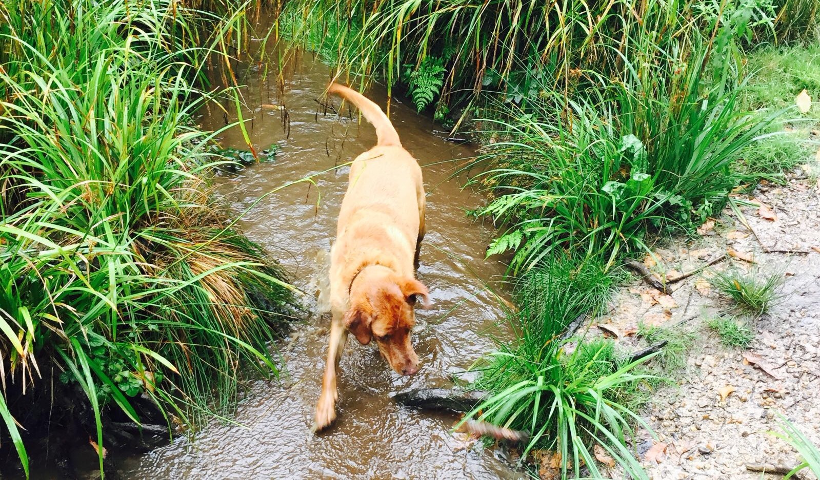 Uw7lv4dykgcimlnu7dzs