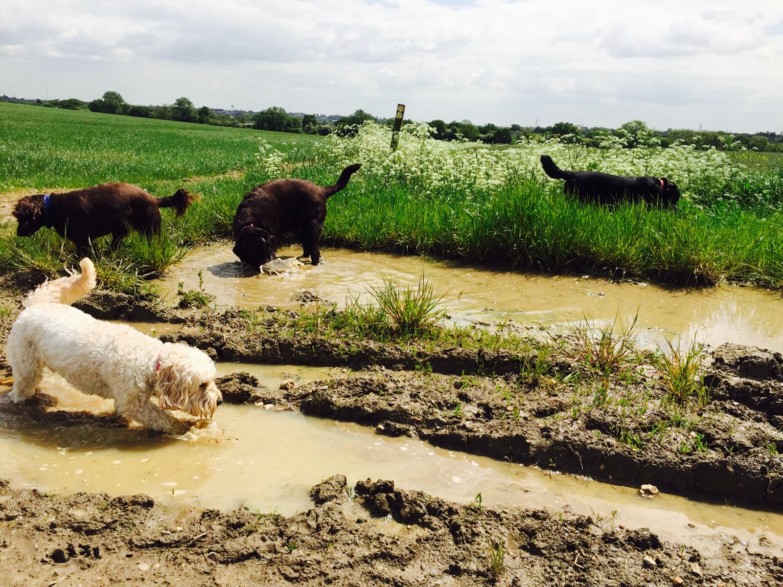 Vffq6wyocwlio6akixpp