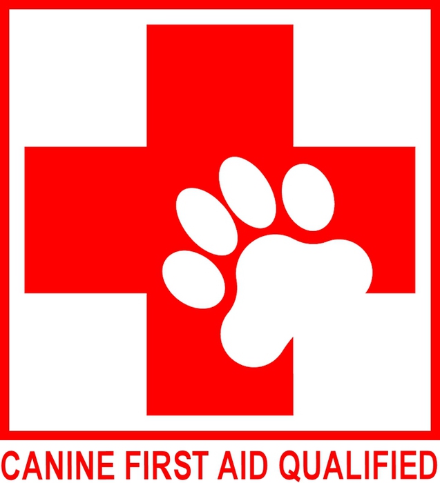 Vupzaregryov5zfnoy9p