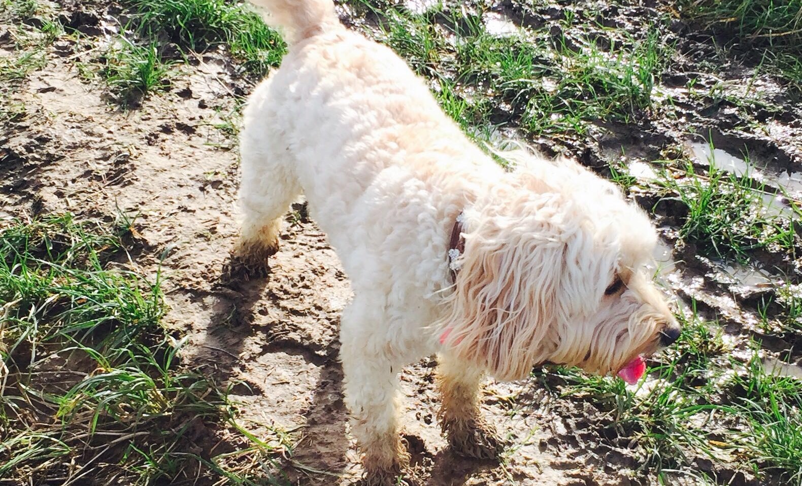 W21w4mref0guyvgzr5df