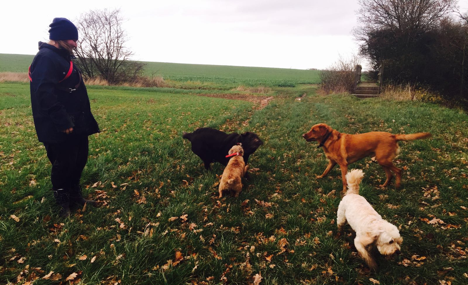 Wl701rzhcxj11wxv2r7q