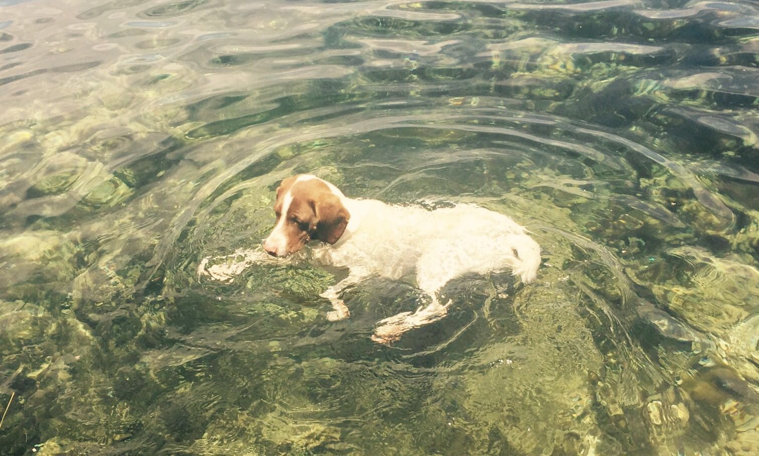 Y9drcldv71apvkgzubot