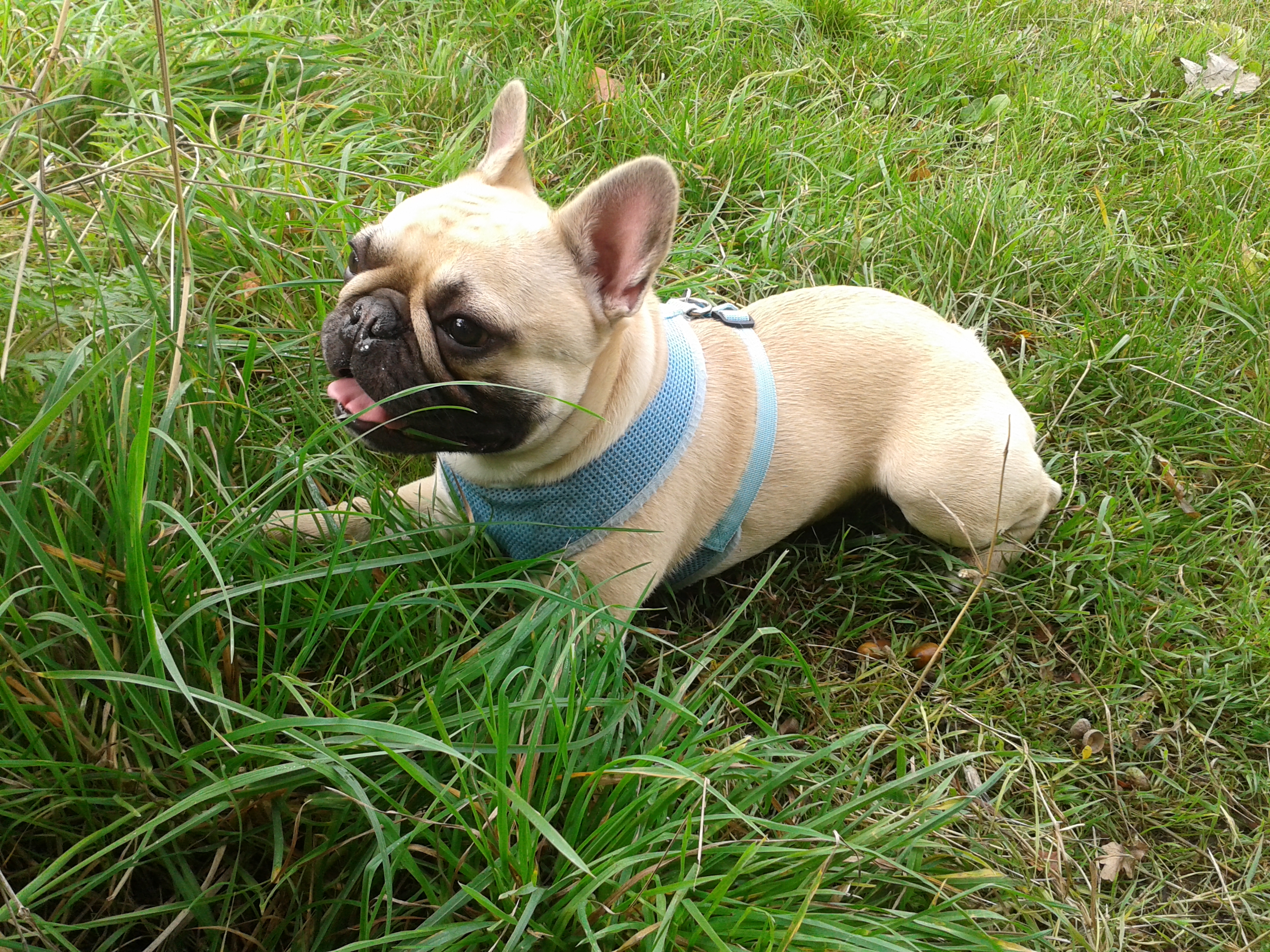 Zn9ahlomogdbw9oimuo3