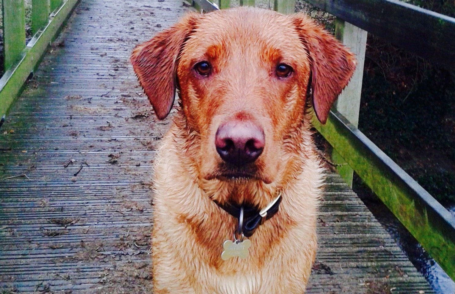 Zpsmlreohqtxsfhd2crn