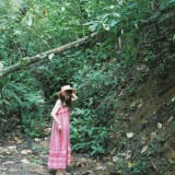 Tây Song Bản Nạp 5N4Đ: một Vân Nam nhiệt đới khác hẳn Lệ Giang - thumbnail 5