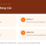 Xe Hải Phòng đi Móng Cái: 2 nhà xe, số điện thoại và điểm đón theo khu vực - thumbnail 3