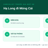 Xe Hạ Long đi Móng Cái: 3 nhà xe, số điện thoại và điểm đón theo khu vực - thumbnail 3