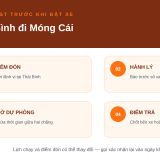 Xe Thái Bình đi Móng Cái: 3 nhà xe, số điện thoại và cách đi - thumbnail 3