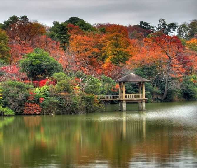 Thumbnail cho thuê phòng trọ ở cạnh trường đại học công nghiệp - Hình 2