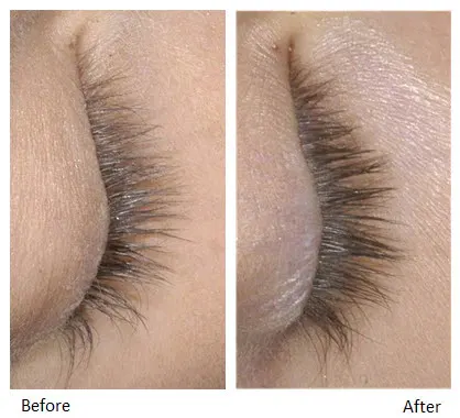 Renewal Lash