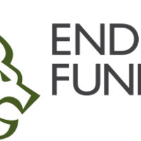 Endeavour fund logo