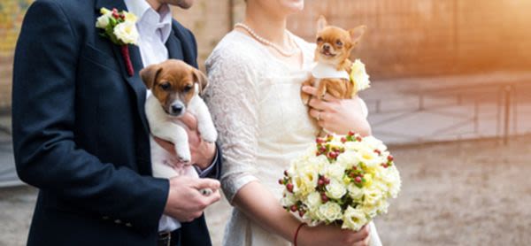 Xpibfc4tscgkc9zskqsz