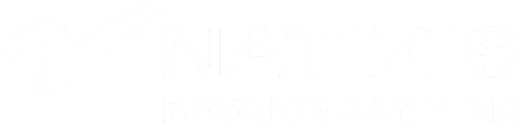 natixis-logo
