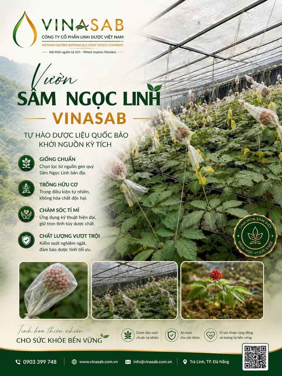 Vườn ươm Sâm Ngọc Linh của VinaSAB