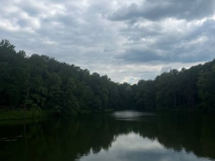 29 июня в Тульской области ожидается дождь и +30°С жара