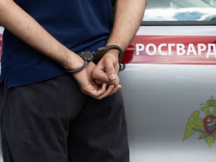 Росгвардия Тульской области: Подведение итогов работы за неделю