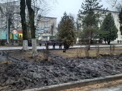 Погода 1 февраля: туман, дождь и грязь