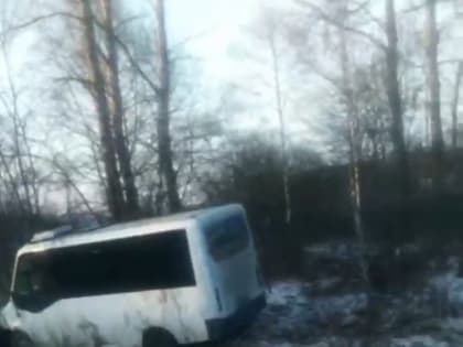 Пассажирский автобус «Тула – Алексин» съехал в кювет