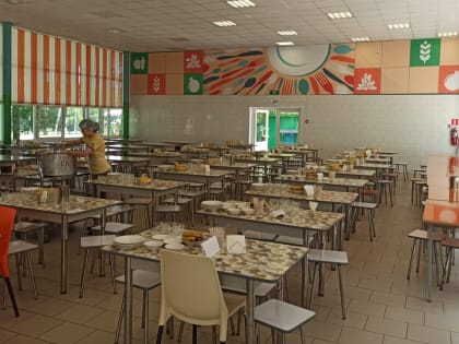 Лагерь им. С. Чекалина заплатит 30 тыс. рублей девочке за испорченный отдых