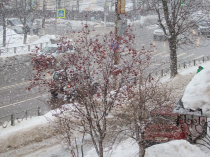 Тульская Госавтоинспекция предупреждает о мокром снеге и метелях в ближайшие два дня