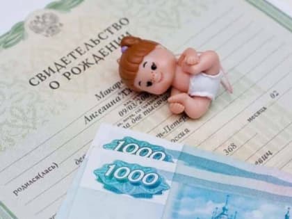 Кабмин не поддержал инициативу об увеличении выплаты при рождении ребенка