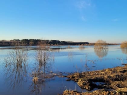 7 апреля в Тульской области воздух прогреется до +19°С