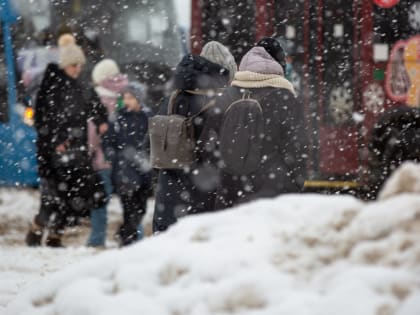 В ночь на 11 января в Туле будет сильный снегопад