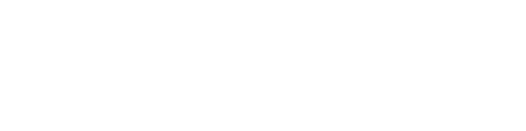 Logo IDNSEO