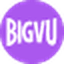 BigVu