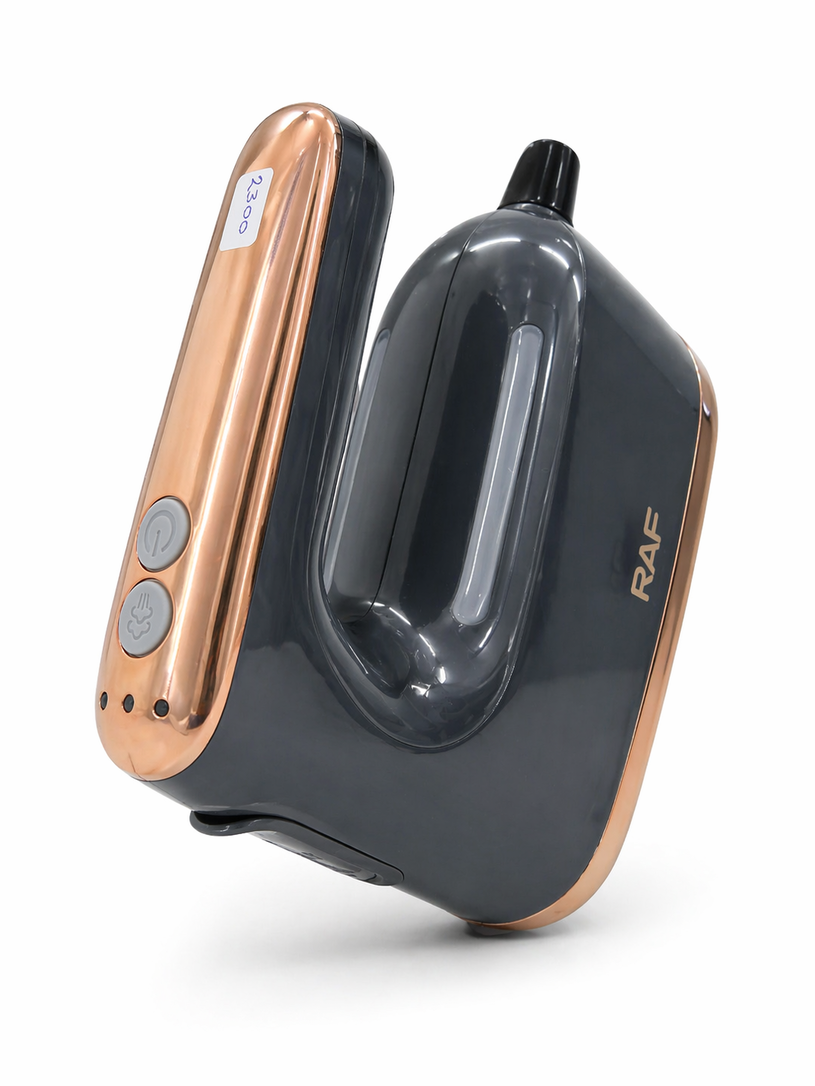 RAF Electric Steam Iron (R-1010)