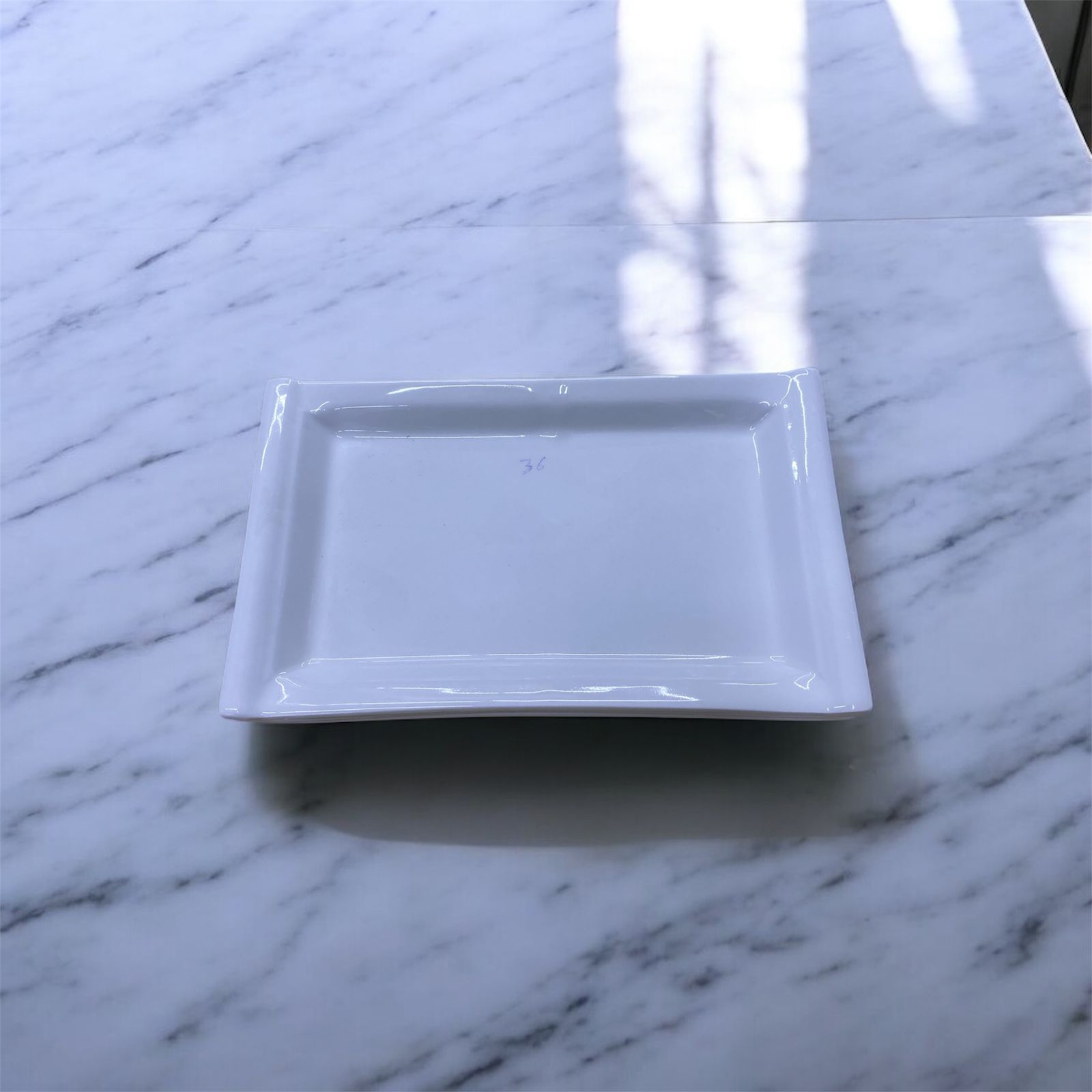 H36 10-inch Rectangular Tray
