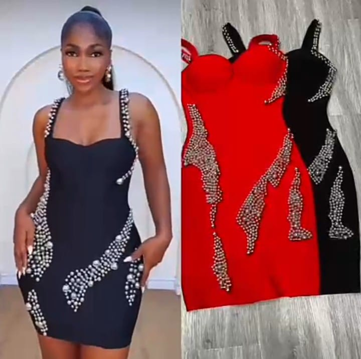 592 Embellished Bodycon Dress