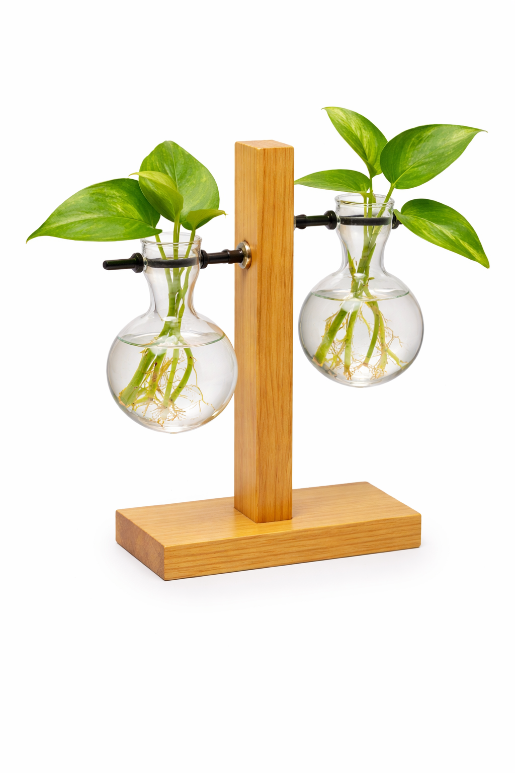 Image of Hydroponic Plant Vase with Wooden Stand (3322-2)