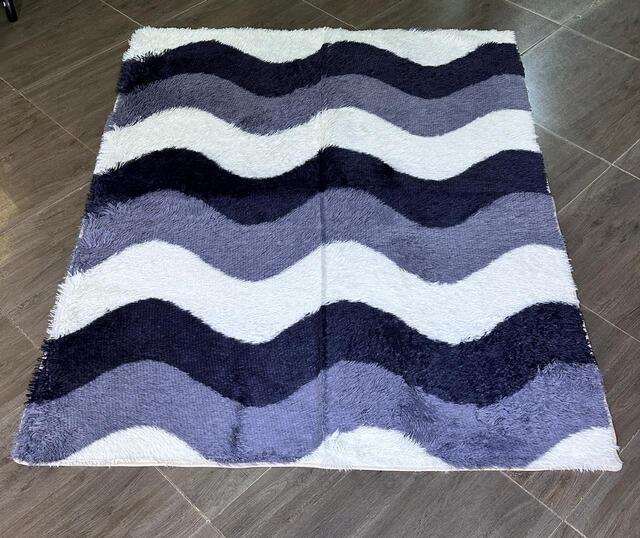 Image of Fluffy Shag Area carpets (5×8)