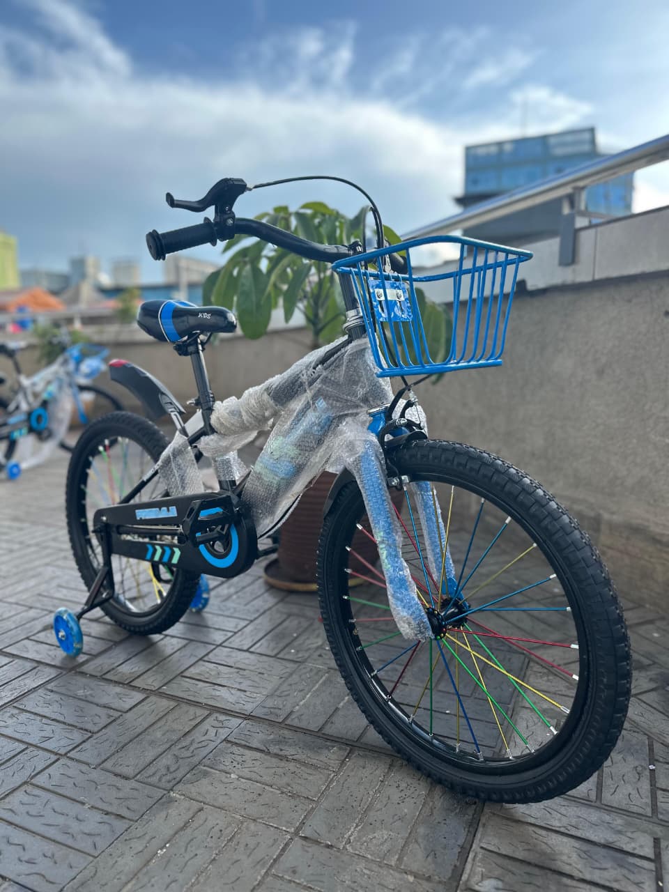 Image of Kids Bicycle