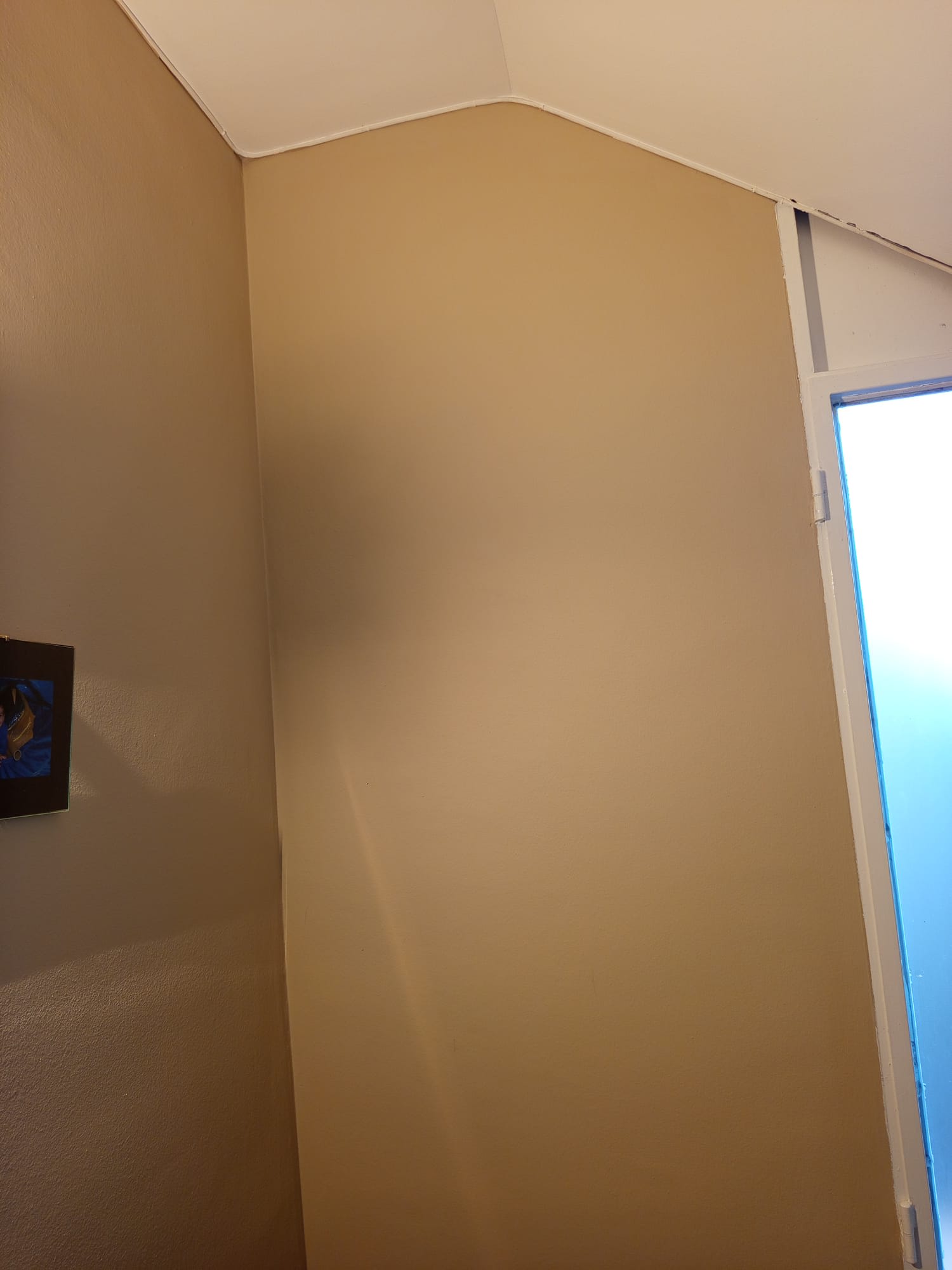 Imagen 7 de Pintura de paredes, techo y puertas