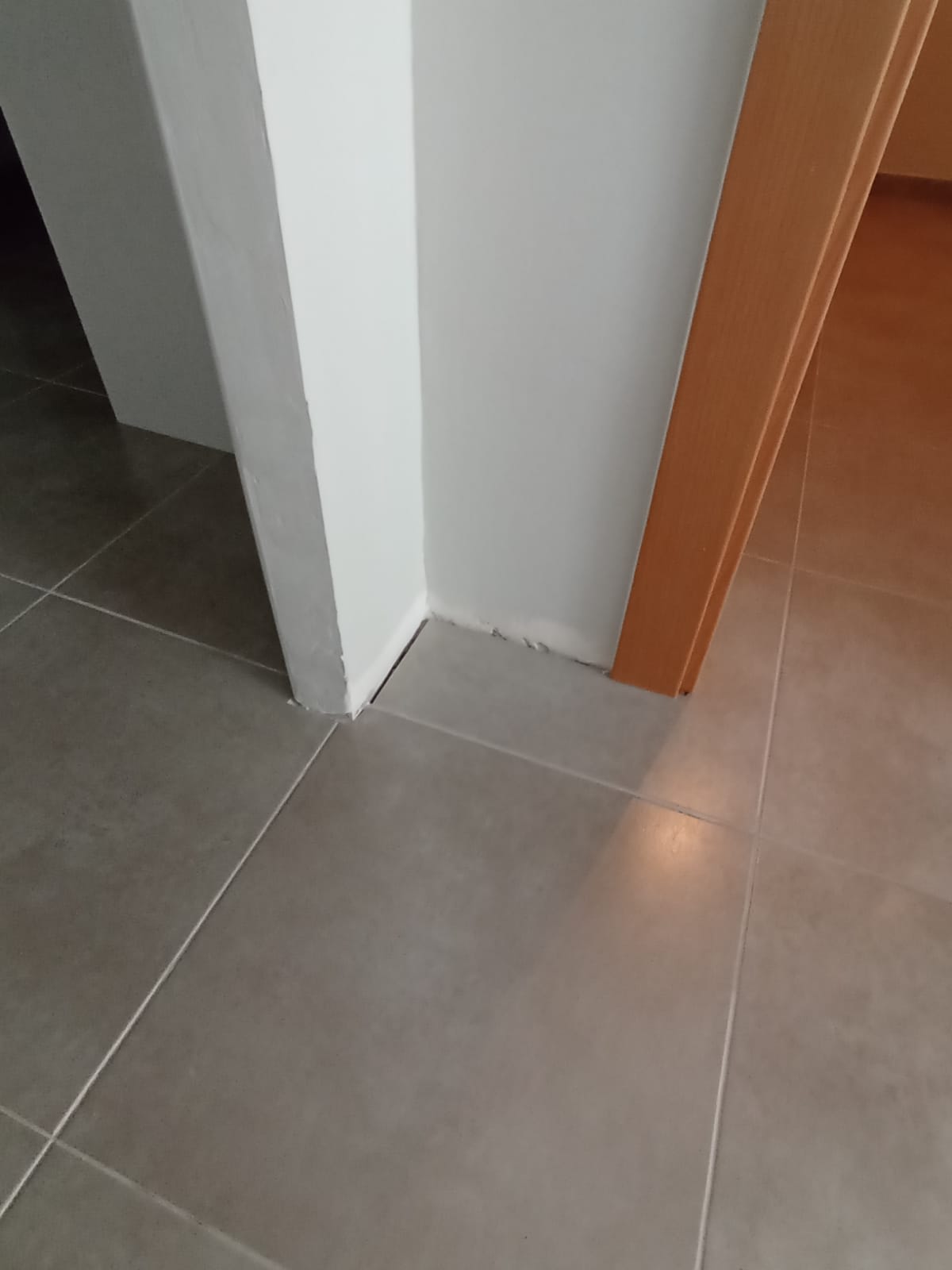 Imagen 8 de Mantenimiento de suelo en piso unifamiliar