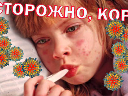 Профилактика кори