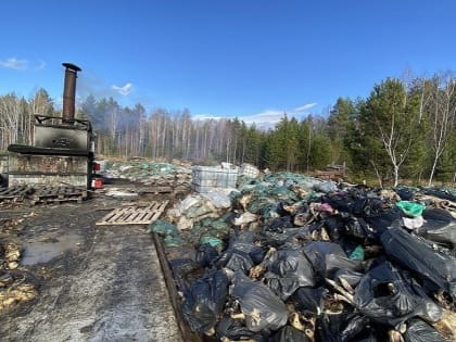 В Зауралье до сих пор не ликвидировали опасную свалку