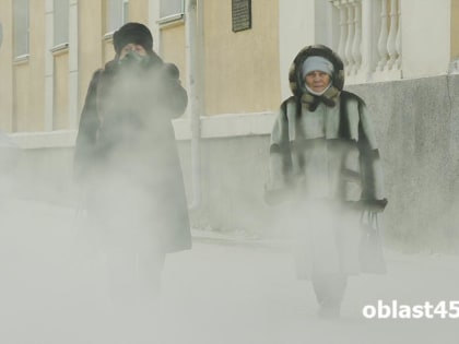 В Кургане отменили очные занятия для школьников 1 - 4 классов второй смены