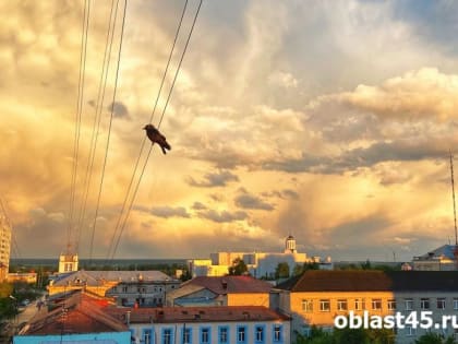 В Кургане несколько улиц в микрорайоне Рябково останутся без света