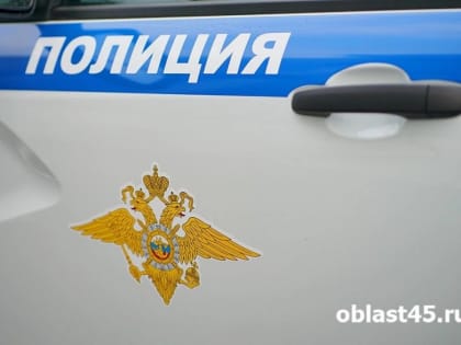 Попытка кражи в Шадринске: полиция задержала мужчину