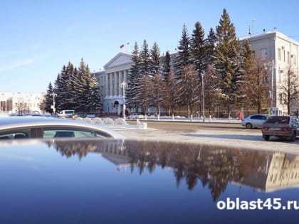 Стало известно, в какой сфере Курганская область снова лидер по стране