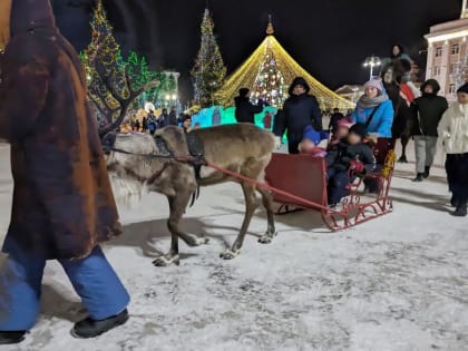 Прокат животных на площади Кургана отчасти организован нелегально