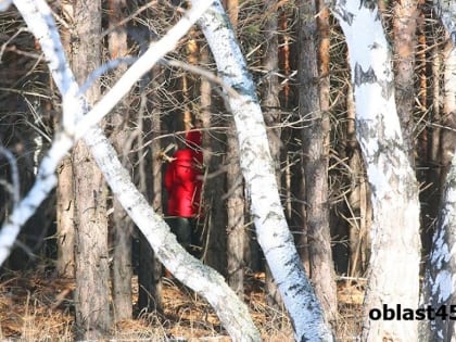 В Кургане полицейские остановили мужчину, успевшего сделать закладки с синтетикой