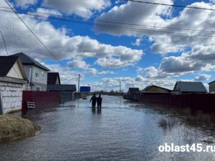 По самую крышу: в Кургане топит Черёмухово и садоводство «Тюльпан»